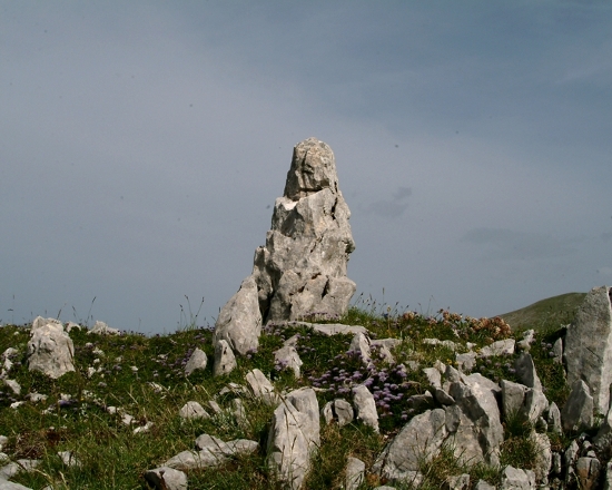 Sculture naturali